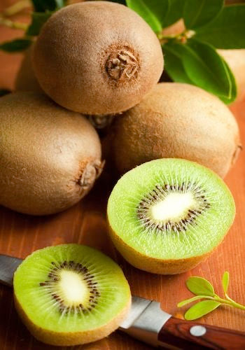 Kiwi seedling