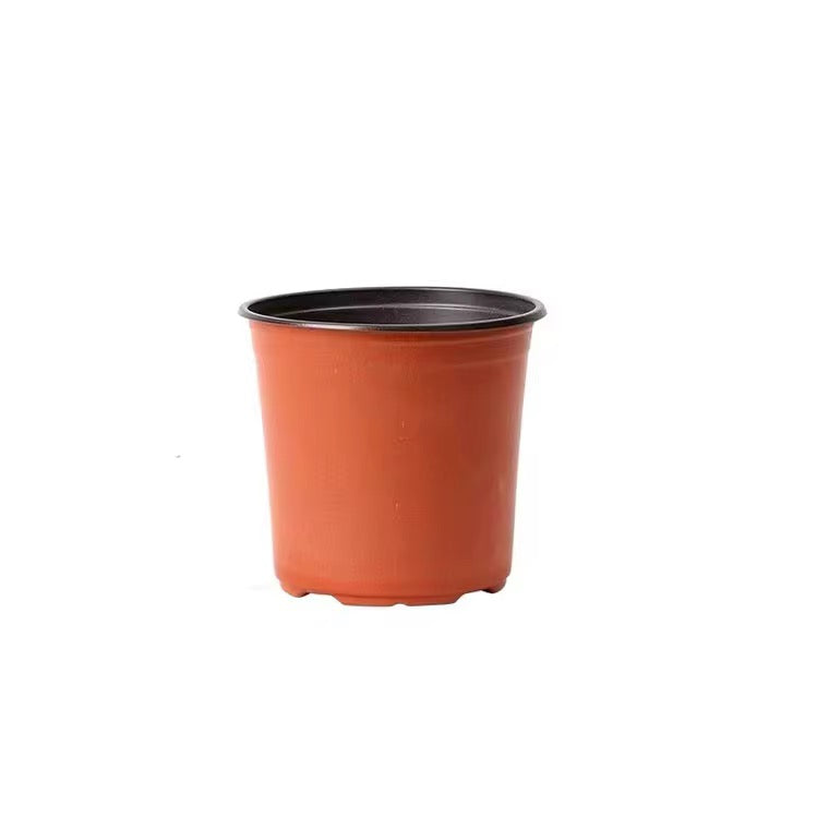 A plant pot