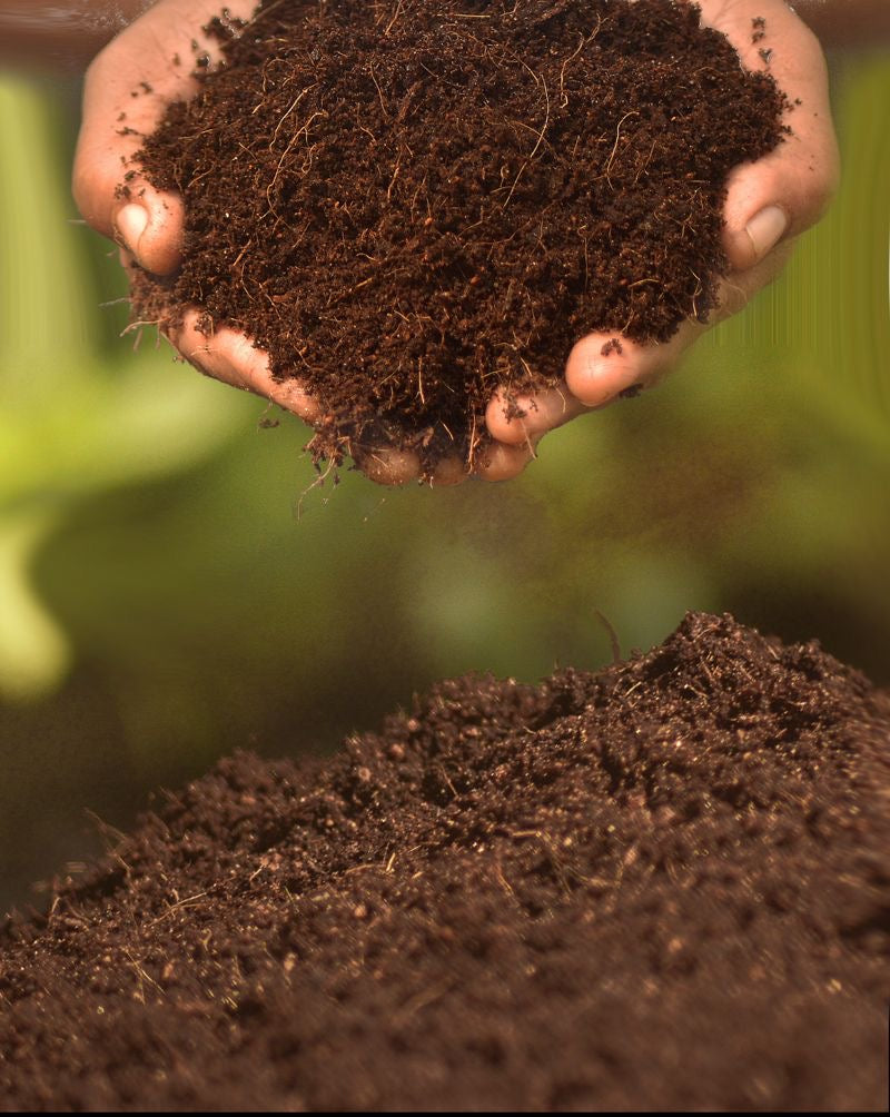 Potting soil
